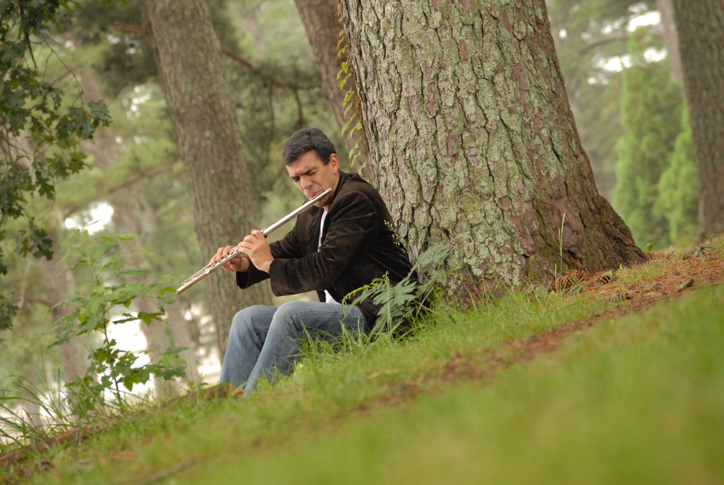 Huáscar Barradas tocando la flauta sentado al pie de un árbol, en un bosque de pinos.